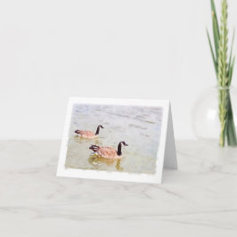 Canada Ganzen Watercolor Design Notecard Kaart