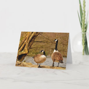 canada geese002 kaart