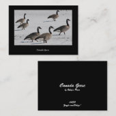 Canada Geese ATC Visitekaartje (Voorkant / Achterkant)