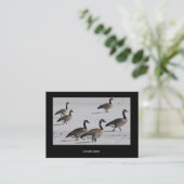 Canada Geese ATC Visitekaartje (Staand voorkant)