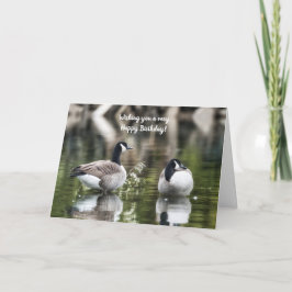 Canada Geese Birthday Kaart