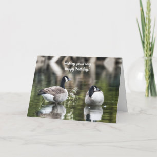 Canada Geese Birthday Kaart