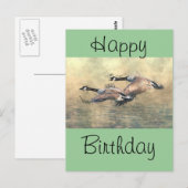 Canada Geese Briefkaart (Voorkant / Achterkant)