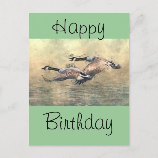 Canada Geese Briefkaart (Voorkant)