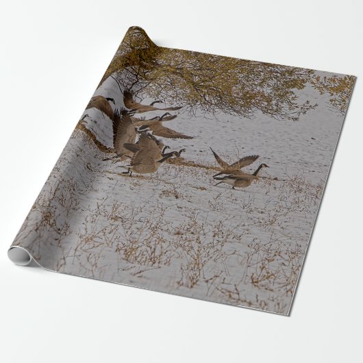 CANADA GEESE CADEAUPAPIER (Uitgerold)