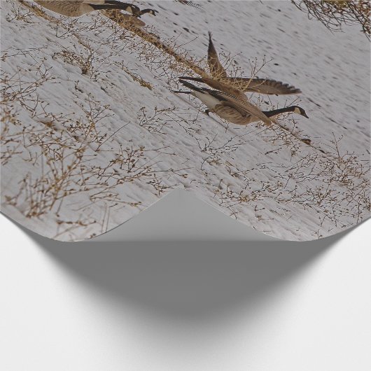 CANADA GEESE CADEAUPAPIER (Hoek)