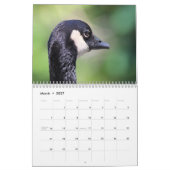 Canada Geese en Goslings Kalender (Mar 2027)
