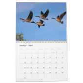 Canada Geese en Goslings Kalender (Jan 2027)