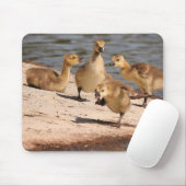 Canada Geese Goslings Mousepad Muismat (Met muis)