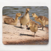 Canada Geese Goslings Mousepad Muismat (Voorkant)