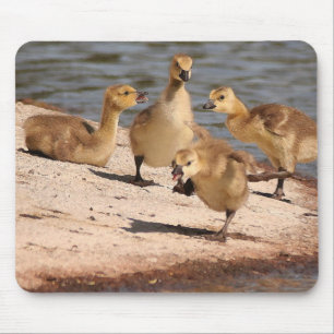Canada Geese Goslings Mousepad Muismat