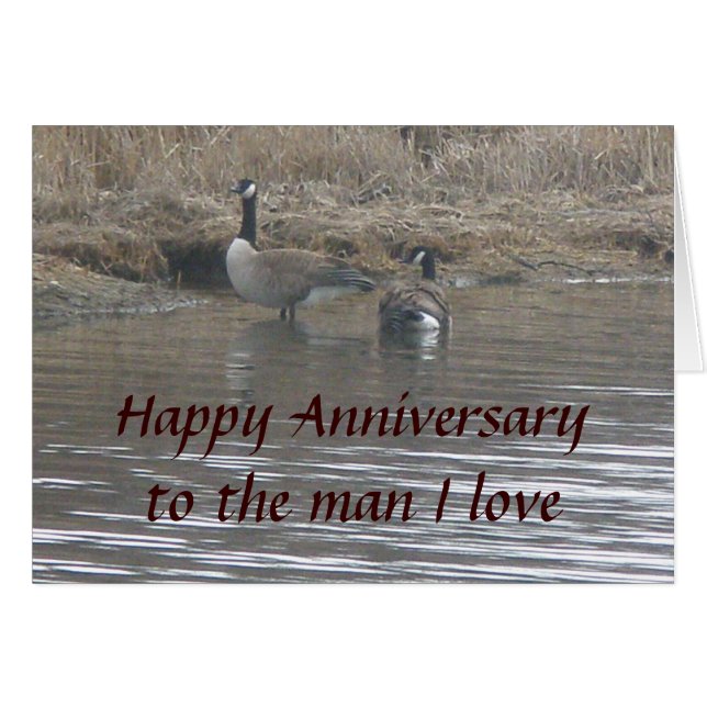 Canada Geese Happy Jubileum Card (Voorkant Horizontaal)