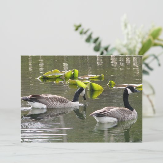 Canada Geese Kaart (Staand voorkant)
