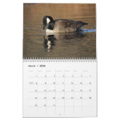 Canada Geese Kalender (Mar 2026)