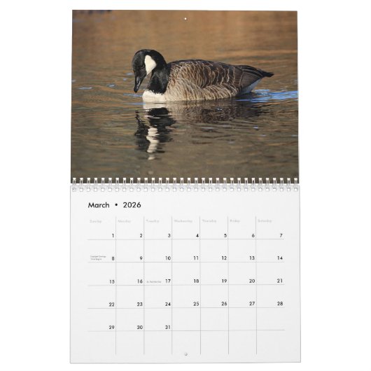 Canada Geese Kalender (Mar 2026)