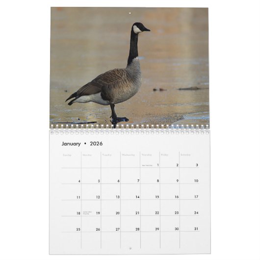 Canada Geese Kalender (Jan 2026)
