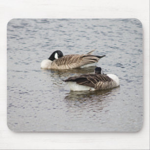 Canada Geese Muismat