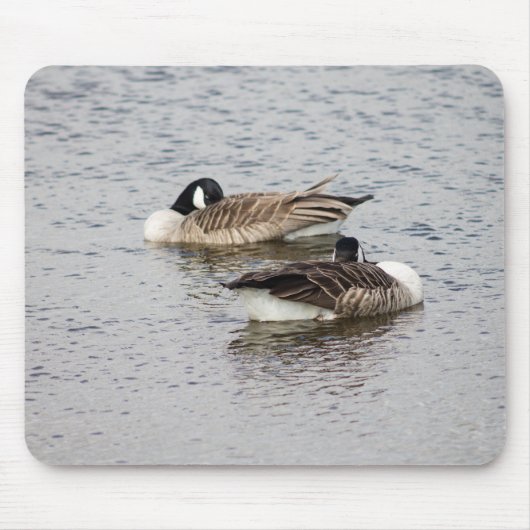 Canada Geese Muismat (Voorkant)