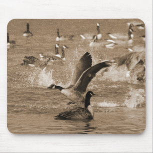 Canada Geese Muismat