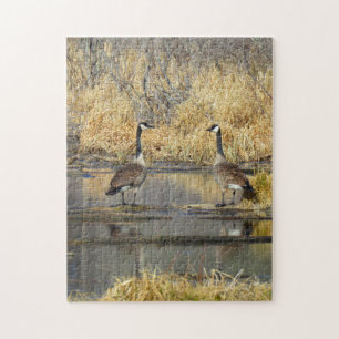 Canada Geese Puzzle Legpuzzel
