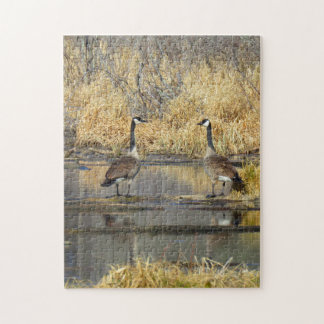 Canada Geese Puzzle Legpuzzel