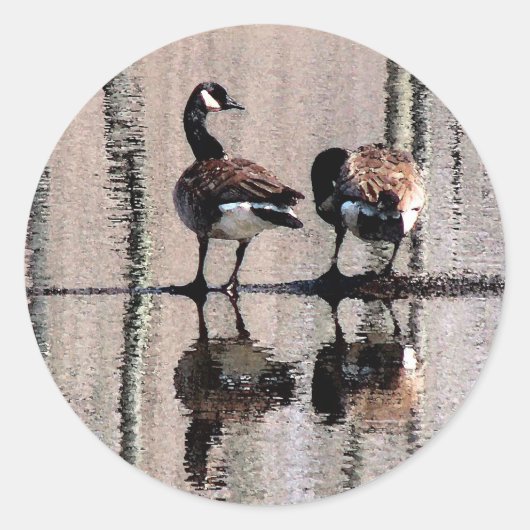 Canada Geese Ronde Sticker (Voorkant)