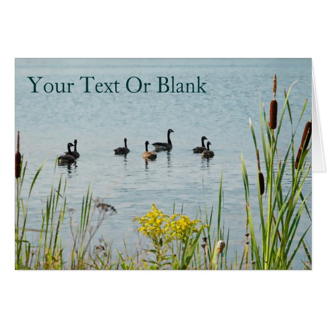 Canada Gese en Cattails (Voorkant Horizontaal)