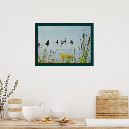 Canada Gese en Cattails Poster (Keuken)