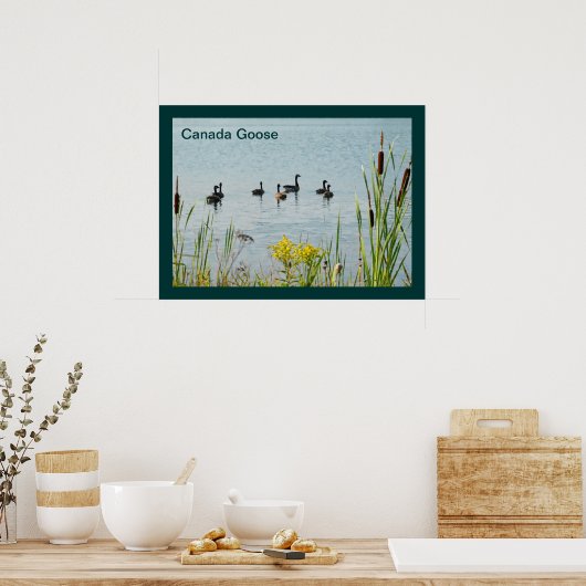Canada Gese en Cattails Poster (Keuken)