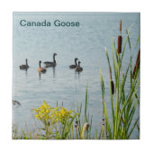Canada Gese en Cattails Tegeltje (Voorkant)