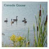 Canada Gese en Cattails Tegeltje (Voorkant)