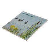 Canada Gese en Cattails Tegeltje (Zijkant)