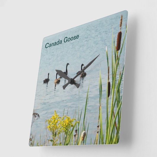 Canada Gese en Cattails Vierkante Klok (Hoek)