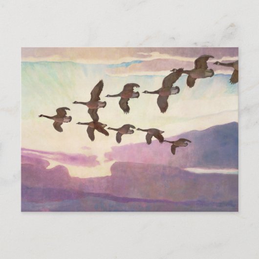 Canada Gese in lente door Newell Convers Wyeth Briefkaart (Voorkant)