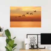 Canada Gese in vlucht op zonsondergang Poster (Thuiskantoor)