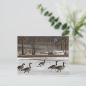 Canada Gese Keep right Briefkaart (Staand voorkant)