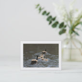 Canada Gese met Goslings (Bordered) Visitekaartje (Staand voorkant)