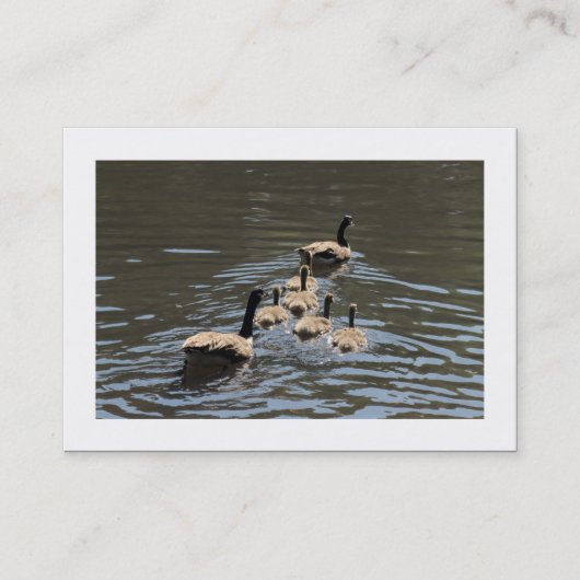Canada Gese met Goslings (Bordered) Visitekaartje (Voorkant)