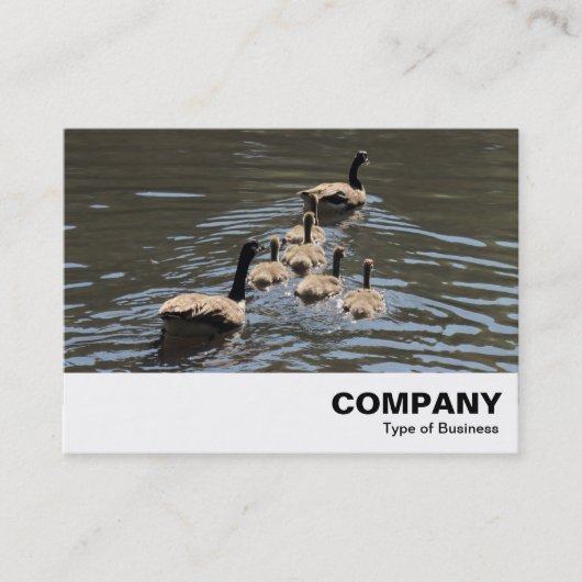 Canada Gese met Goslings Visitekaartje (Voorkant)