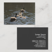 Canada Gese met Goslings Visitekaartje (Voorkant / Achterkant)