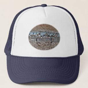 Canada Gese op Green Lane Reservoir Trucker Pet
