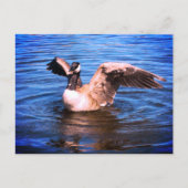 Canada gooit haar Natuur met blauw water op haar v Briefkaart (Voorkant)