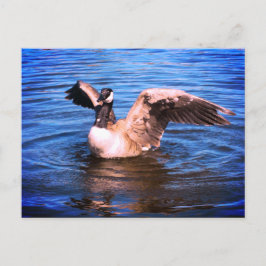 Canada gooit haar Natuur met blauw water op haar v Briefkaart