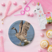 Canada gooit water uit papieren bordje (Feest)