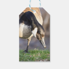 Canada Goos Cadeaulabel