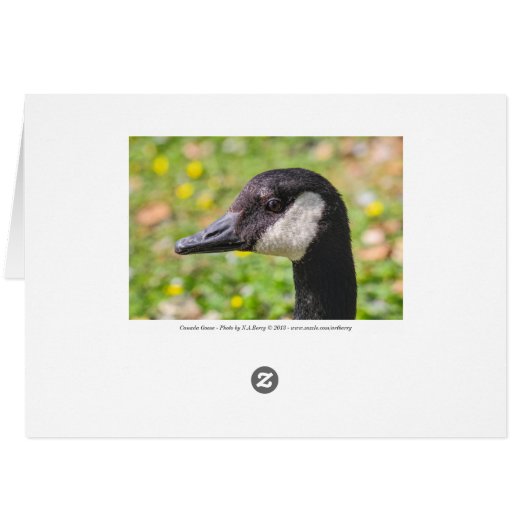 Canada Goose (Achterkant Horizontaal)