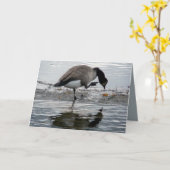 Canada Goose 1975 Kaart (Gele Bloem)