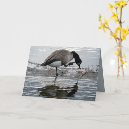 Canada Goose 1975 Kaart (Gele Bloem)