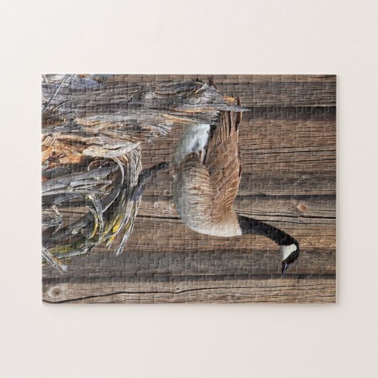 CANADA GOOSE AAN DE BARN BOARD LEGPUZZEL (Horizontaal)