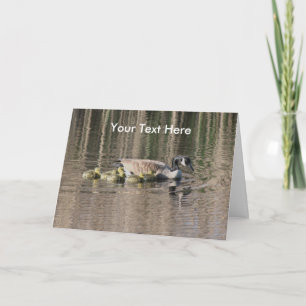 Canada Goose and Babies Natuur Photo Card Kaart
